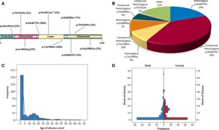 Epilepsy due to mutations in the mitochondrial polymerase gamma (POLG) gene: A clinical and molecular genetic review - ePrints