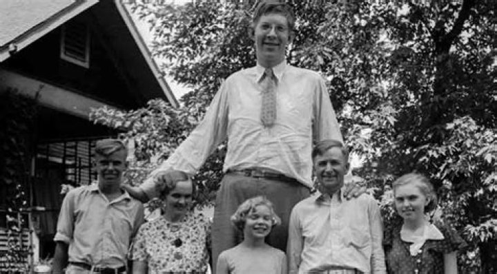Harold Wadlow Jr. (Updated 2023) Age, Obituary, Wife, Children, Net Worth