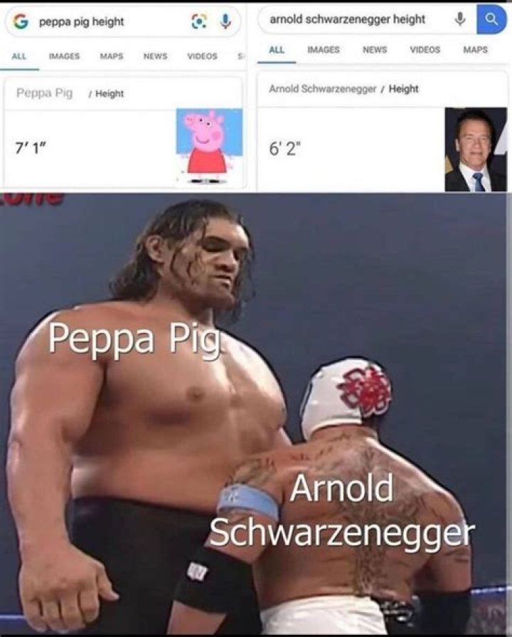 "How Tall Is Peppa Pig? Her Height Controversy Is Solved" Unveiled!
