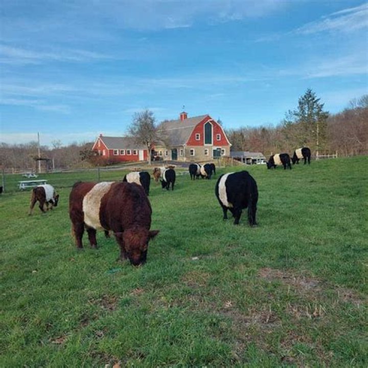Open Barnyard at Weir River Farm