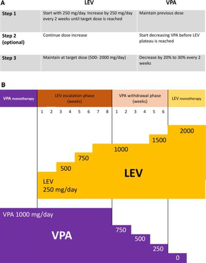 Rapid switching from levetiracetam to brivaracetam in pharmaco-resistant epilepsy in people with and without intellectual disabilities: a naturalistic case control study - ePrints
