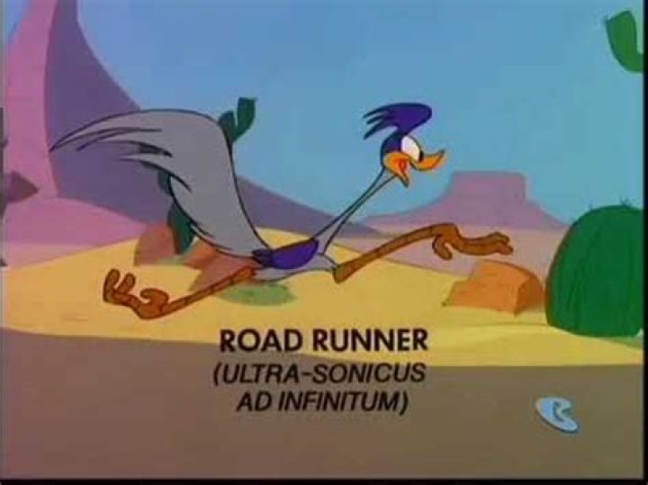 Road Runner Lyrics - Road Runner Translations