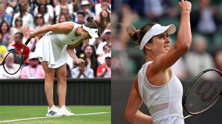 Salary, Income, Net Worth: Elina Svitolina - 2024