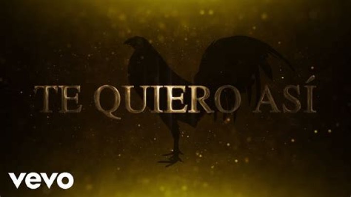 Te Quiero Así 歌词 - Te Quiero Así 翻译