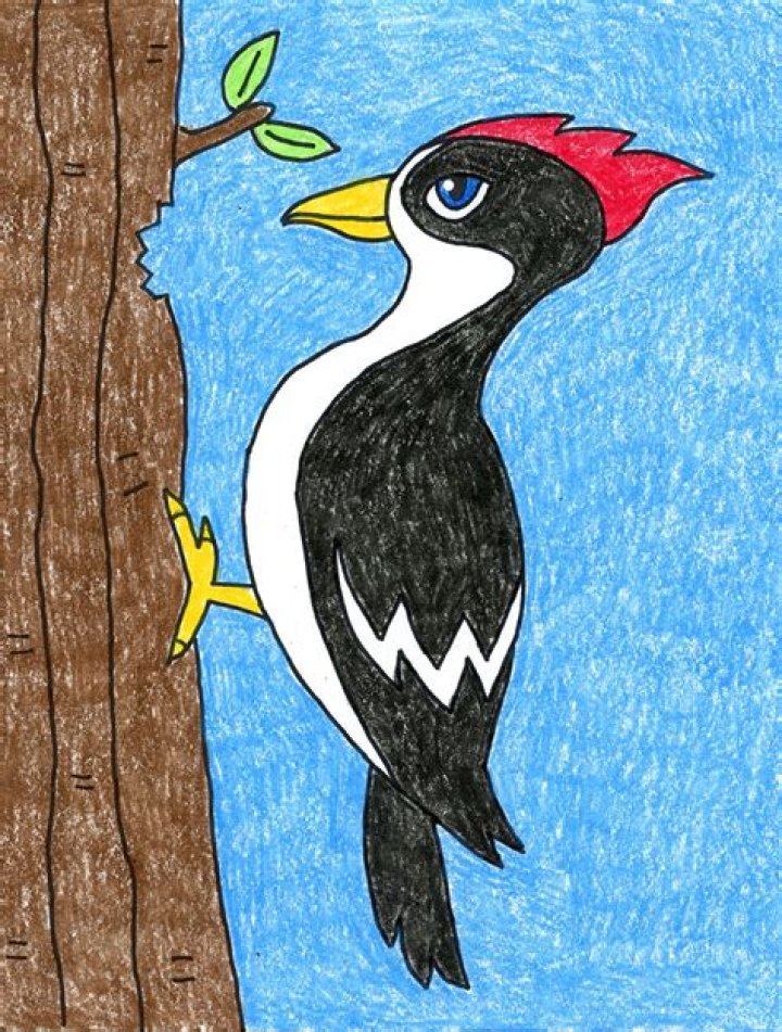 The Woodpecker Page