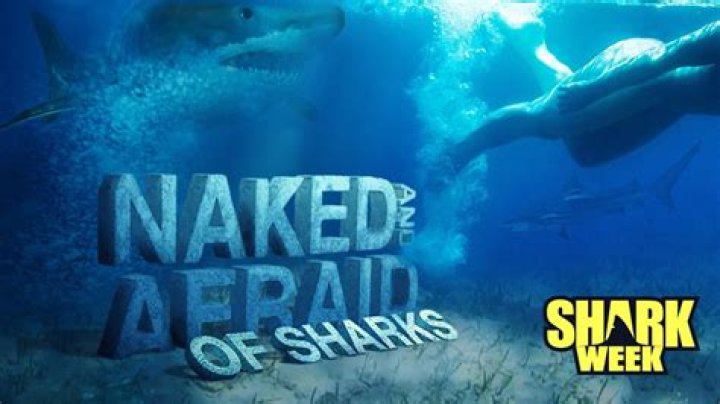 This is the “Naked and Afraid” all-star shark episode
