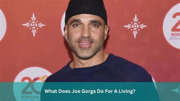 What Does Joe Gorga Do for a Living?
