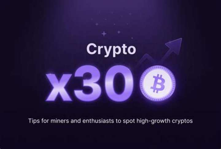 What is crypto 30x and benifits & Risks of cryptocurrncy in 2024